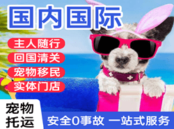 重庆仙女山航空运输国际宠物托运 【国